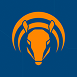 Armadillo Icon