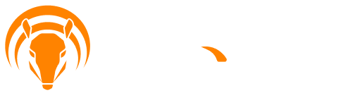 Armadillo Logo